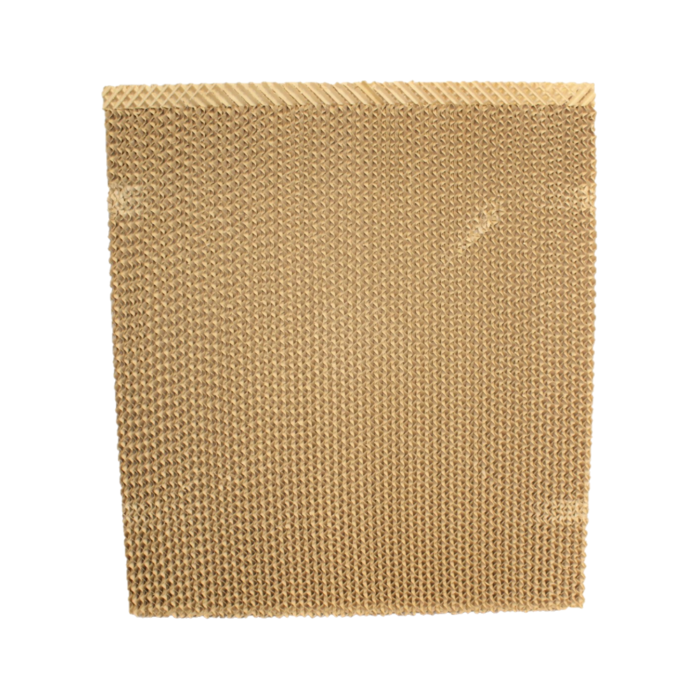 🎁 C100 & C125 Back Honeycomb Pad (100% off)