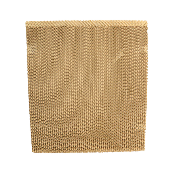 C100 & C125 Back Honeycomb Pad