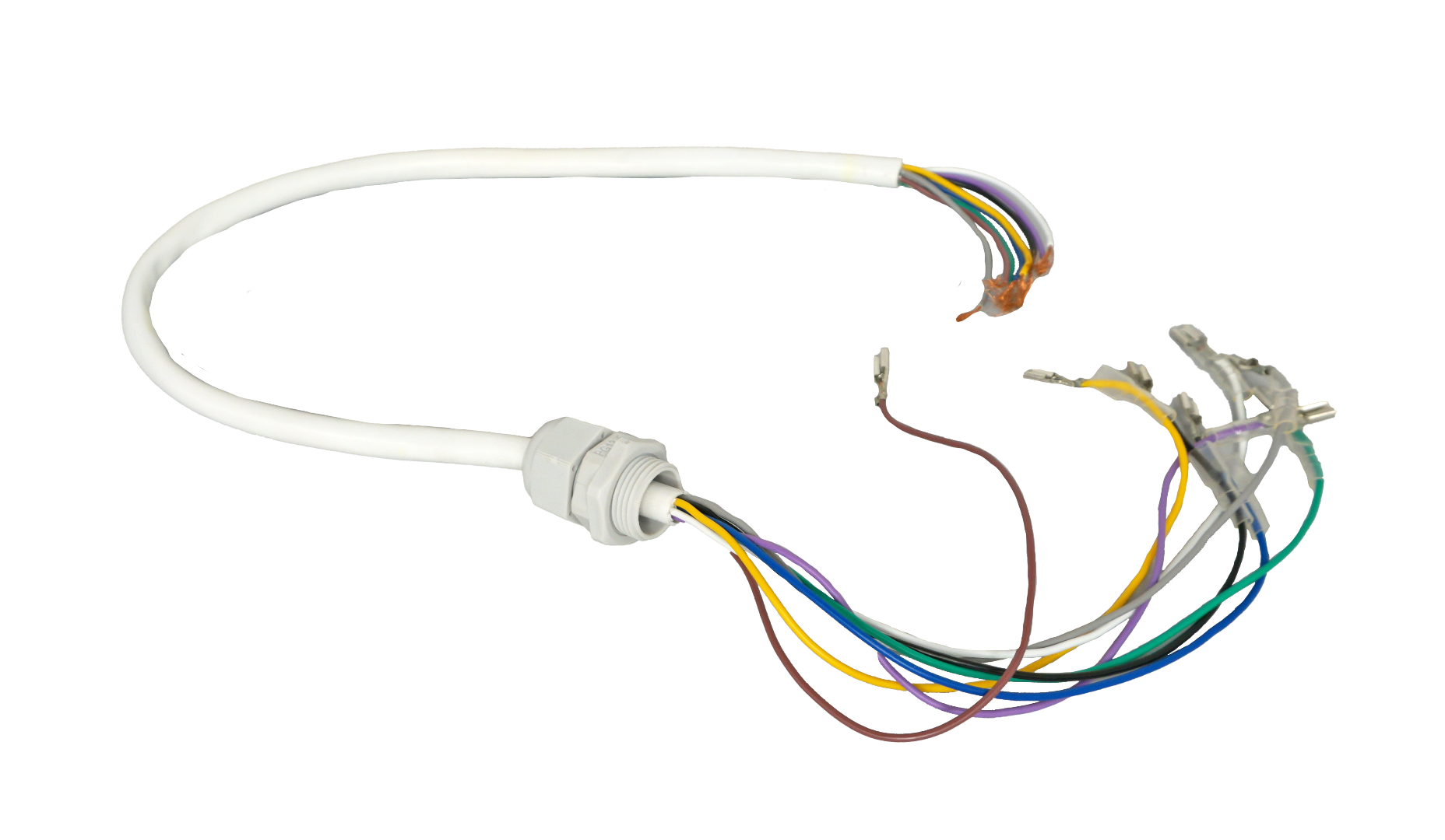 C100 & C125 Wire Harness