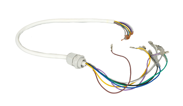 C100 & C125 Wire Harness